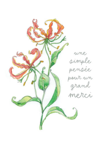carte pliée 5 x 7 Gloriosa_1