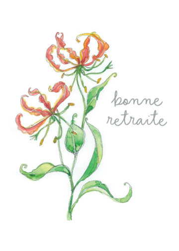 carte pliée 5 x 7 Gloriosa 2